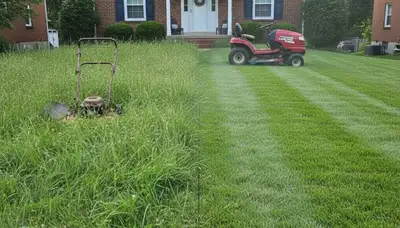 Before and after professional lawn mowing showing yard transformation in Pittsburgh, PA