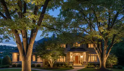 Dramatic tree uplighting design highlighting mature trees at night by Chop Chop Landscaping in Pittsburgh, PA